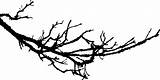 Branch Tree Branches Silhouette Clipart Clip Outline Vector Drawing Winter Gnarly Cliparts Trees Fall Broken Transparent Wall Dead Bark Acacia sketch template