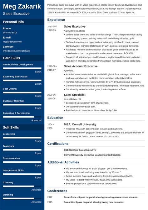 executive resume template   level examples