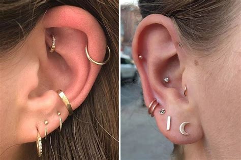 ear piercing types   designs sentinelassam