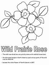 Coloring Rose Prairie Pages Wild Animals Color Printable Popular Roses Gif Ws Kidzone Northdakota Geography Usa Onlinecoloringpages sketch template