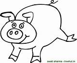 Pigs Coloring Pages Baby sketch template