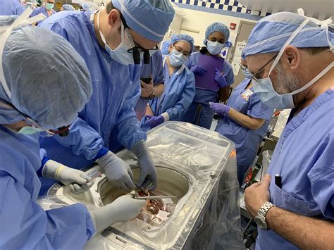 transplantation divisions surgery uc medicine
