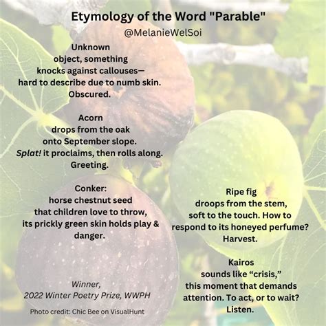 etymology   word parable contest winning cinquain poem