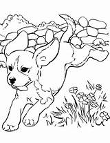 Coloring Pages Dogs Realistic Dog Kids Animal Print Puppy Them Printable Visit Sheets sketch template
