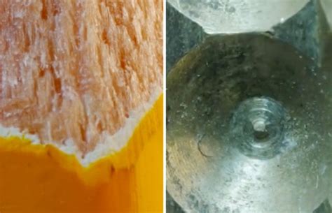 How Many Of These Everyday Items Can You Guess From Extreme Close Ups