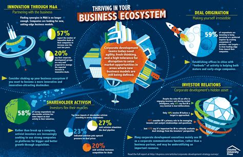 infographic corporate development strategy thriving   business ecosystem deloitte