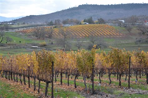 vineyard views  rogue valley oregon