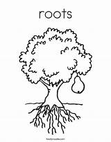 Roots Coloring Tree Built California Usa sketch template