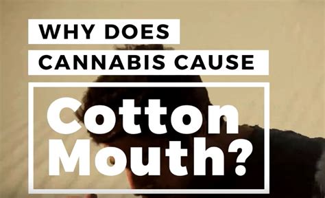Here S Why Smoking Weed Causes Cotton Mouth And What That