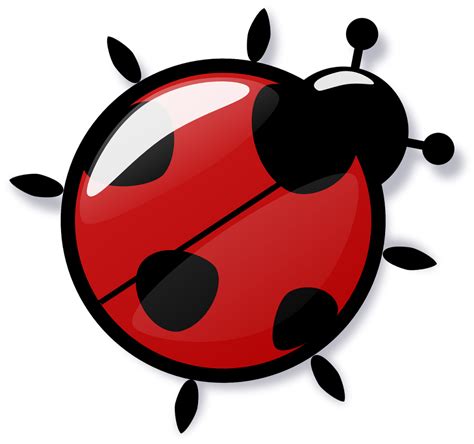 history  ladybug ladybug
