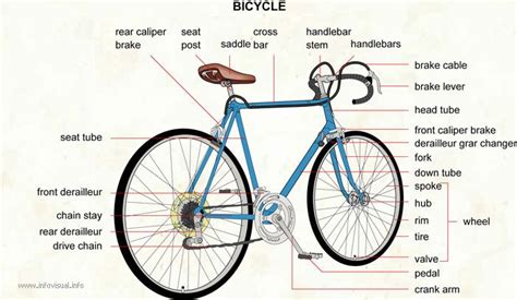 bicycle rear wheel parts diagram americanclassicnowcom