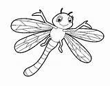 Libellula Libellule Nourrisson Colorier Libelula Infantil Dragonfly Acolore Insectes Stampare Insetti Coloritou sketch template