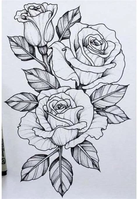 beautiful flower drawing information ideas brighter craft