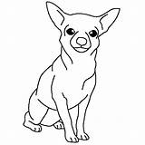 Chihuahua Coloring Pages Drawing Dogs Dog Kids Thecolor Chiweenie Color Line Getdrawings Simple Popular Online Cute Choose Board Template sketch template