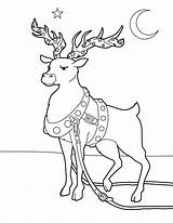 Reindeer Coloring Christmas Pages Adorned Color Online Holidays Print Hellokids Coloringpagesonly sketch template
