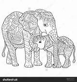 Coloring Pages Elephant Adult Elephants Mommy Adults Baby Printable Colour Detailed Hand Drawn Template Shutterstock sketch template