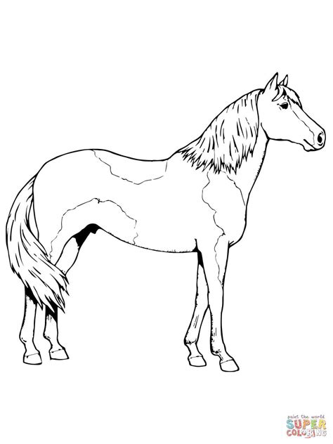 pinto horse coloring pages  getdrawings