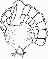 Turkey sketch template