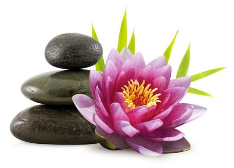heal  body mind  spirit  mind prossage massage feel