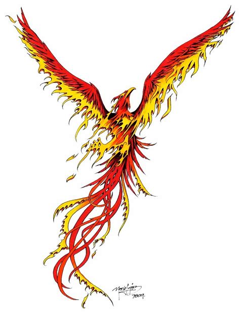 phoenix phoenix tattoo design phoenix tattoo phoenix bird