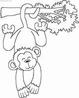 Coloring Monkey Crafts Pages Animal Printable Animals Rainforest Color Zoo Jungle Kids Preschool Choose Board Colouring Large Monkeys sketch template
