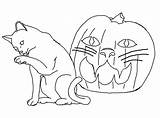Coloring Pages Cat Halloween Cats Printable Big Color Print Jack Pumpkin Lantern Paper Kids Funny Bestcoloringpagesforkids Click Comments sketch template
