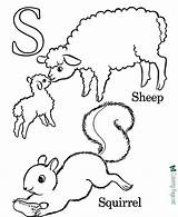 Coloring Alphabet Pages Sheep sketch template