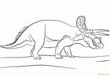 Triceratops Jurassic Kolorowanki Druku Dinosaurs Indominus Gorgosaurus Wydruku Everfreecoloring Coloring4free Pokemon sketch template