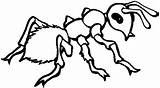 Hormigas Fourmi Printable Imagui Hormiga Colorier Formigas Coloriages Hormiguitas Infantiles Osos Kindergarten sketch template