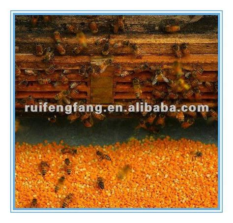 bulk flowder bee pollen for increasing sexual strength