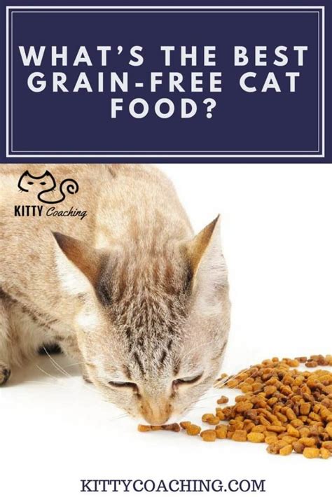 whats   grain  cat food