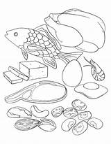 Coloring Protein Pages Popular sketch template
