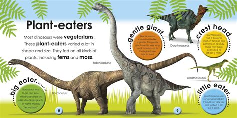 dinosaur information  kids dinosaurs pictures  facts