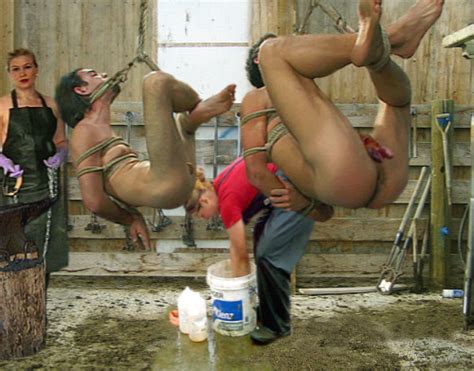 milking slaves breeding farms