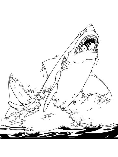 great white shark printable coloring pages  coloring pages