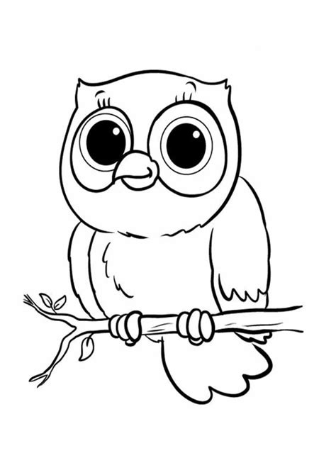 baby owl coloring pages  print  cute