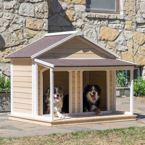 boomer george duplex dog house antique white wash xcd outdoor dog bed large dog
