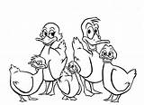 Coloring Pages Ducks Little Five Printable Colouring Coloringtop Print sketch template