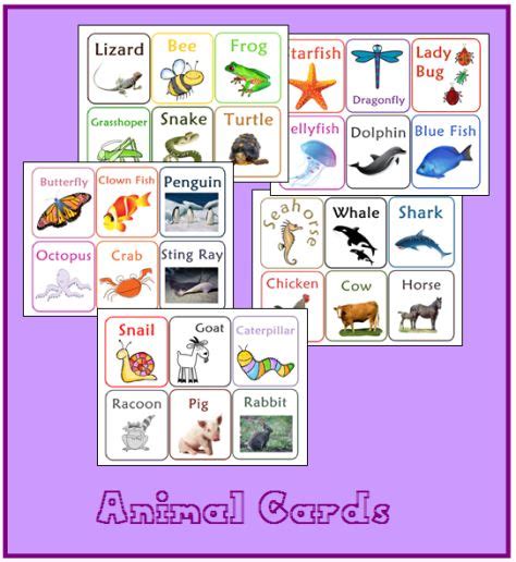animal card printables  homeschool preschool homeschool