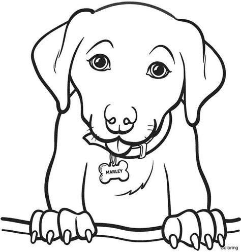 beagle dog coloring pages  getdrawings