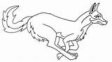 Coyote Kojote Ausmalbilder Ausmabild Cool2bkids sketch template