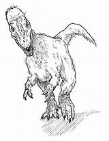 Yutyrannus Troodon Dinosaur sketch template