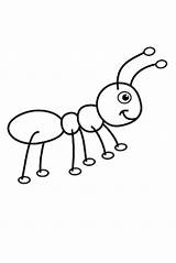 Ant Ameisen Ameise Nael Invitationurn sketch template