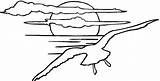 Gaviota Coucher Coloriage Gaviotas Tramonto Imprimer Mewa Seagulls Mewy Kolorowanki Coloriages Sunsets Dzieci Puesta Landscapes Volando Słońca Kolorowanka Seagull Zachód sketch template