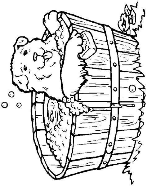 pinterest animal coloring pages animal coloring books cartoon