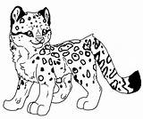 Baby Leopard Coloring Pages Snow Getcolorings Print sketch template