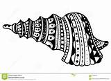 Zentangle Shell Stylized Seashell Illustration Vector Preview sketch template