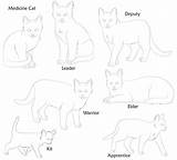 Warrior Cat Cats Coloring Pages Clan Print Bases Dog Rose Colouring Deviantart Template Timeless Miracle Drawings Popular Coloringhome Kitty Hello sketch template