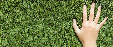 soft touch grass infinitygrass