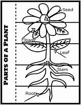 Parts Plant sketch template